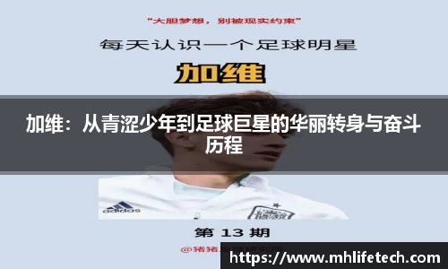 3377体育官网
